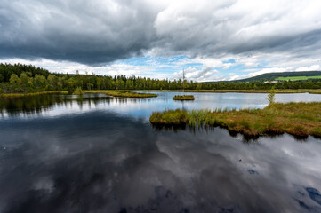 sunrise forest marsh in &Scaron;umava National Park
