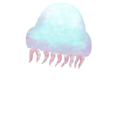 One jellyfish
