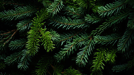 Fototapeta na wymiar Christmas fir tree background. Generative Ai