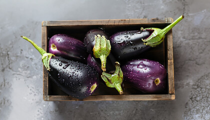 Close-up view of wet eggplants in vintage wooden box. Aubergines fruits with drops of water on grey background. Top view with copy space.