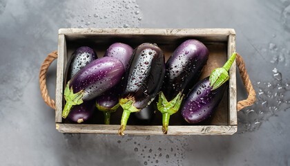 Close-up view of wet eggplants in vintage wooden box. Aubergines fruits with drops of water on grey background. Top view with copy space.