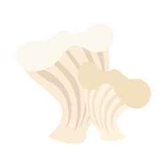 パイリング（アワビタケ、ハクレイタケ、ユキレイタケ）。フラットなベクターイラスト。
Abalone mushroom (white elf, king mushroom). Flat designed vector illustration.