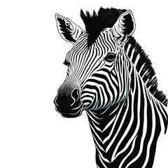 Fototapeta na wymiar Zebra black and white face sketch vector on white