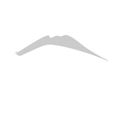 Old Eyebrow Hair Vector