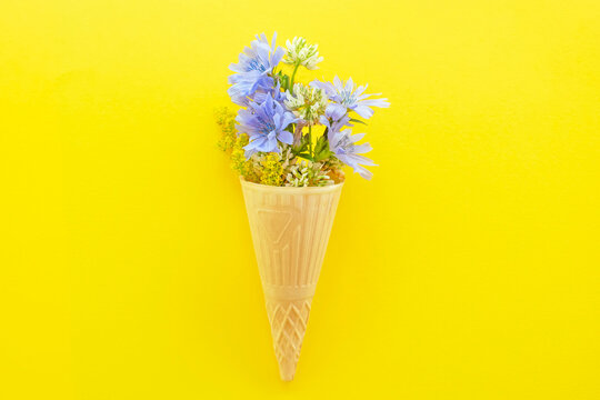 Chicory flowers and other wild flowers in an ice cream cone on a yellow background. Flat top view.