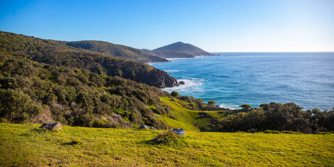 panorama of new south wales coast in hat head national park; green hills coverd with juicy grass by the ocean, beautiful beach surrounded by cliffs in australia