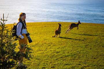 happy wildlife photographing woman surrounded by wild grey kangaroos in hat head national park, new...