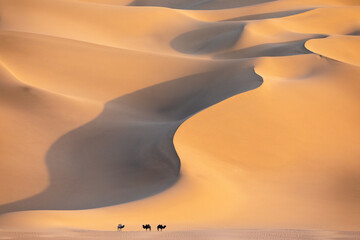 Fototapeta na wymiar The lines of the desert