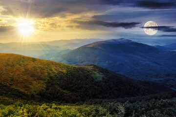 day and night time change concept. summer landscape with sun and moon at twilight. coniferous...