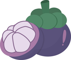 mangosteen elements, Summer fruits.