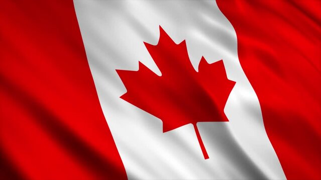 Canada National Flag Animation

High Quality Waving Flag Animation

Loop able, Extend the duration as required