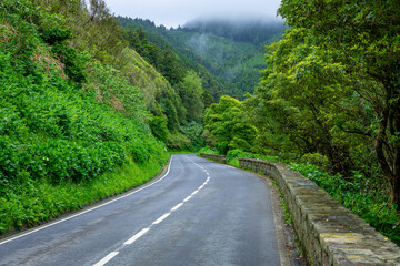 Fototapeta na wymiar A traditional road in the Azores, lush green vegetation around.