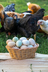 Village homemade chicken eggs, outdoors