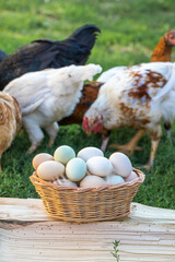 Village homemade chicken eggs, outdoors