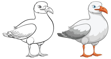 Seagull Bird Outline