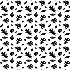 Obraz na płótnie Canvas pattern with black leaves