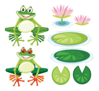 Green Frog Cartoon Characters Collection