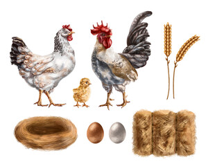 Farm set of chicken, rooster, chicken among haystacks and eggs. For compositions, packaging design, textiles, booklets