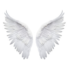 Fototapeta premium white angel wings isolated on transparent background cutout