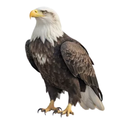 Zelfklevend Fotobehang american bald eagle isolated on transparent background cutout © Papugrat