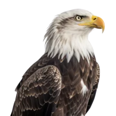 Fotobehang american bald eagle isolated on transparent background cutout © Papugrat