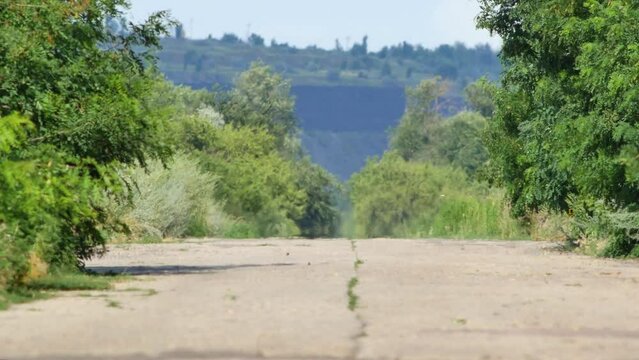 Mirage over abandoned concrete road surrounded by green trees. Abnormally hot weather with strong wind. Video was filmed with soft focus due to heat waves also known as heat haze or shimmer.