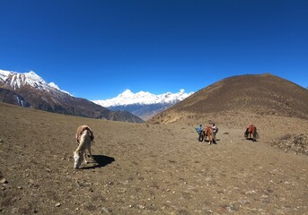 Mustang landscape beauty