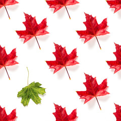 Seamless pattern of colorful autumn maple leaf isolated on white background