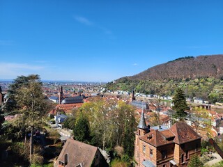 Fototapeta na wymiar Panoramic view from Heidelberger Schloss, houses, bridges and River Neckar.