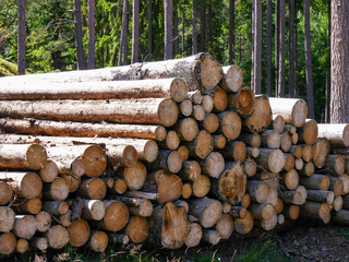 stack of firewood