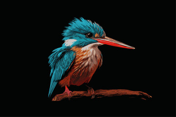 Senegalese kingfisher - Halcyon senegalensis