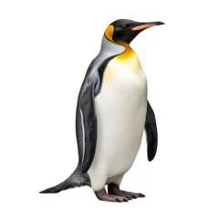 Rolgordijnen Isolated penguin on the side on a white background, AI Generation © tatka_swag