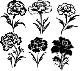 Silhouette flower plant images