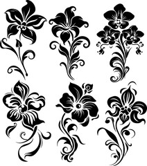 Silhouette flower plant images