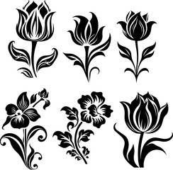Silhouette flower plant images