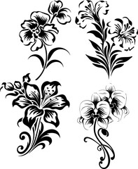 Silhouette flower plant images