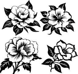 Silhouette flower plant images