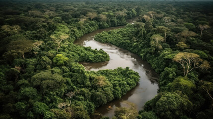 Naklejka na ściany i meble Amazon rainforest with long lake