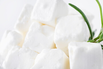 Feta cheese, cucumber and herbs in a bowl isolated on white background. Close up