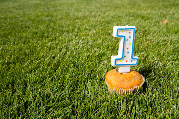 First birthday - Little birthday cake muffin on grass with number 1 candle