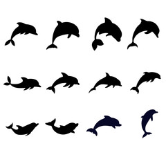 Dolphin icon vector set. Fish illustration sign collection. killer whale symbol. Sea ​​life logo.