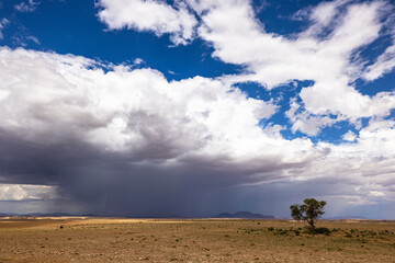 Rain from cumulus clouds in the desert