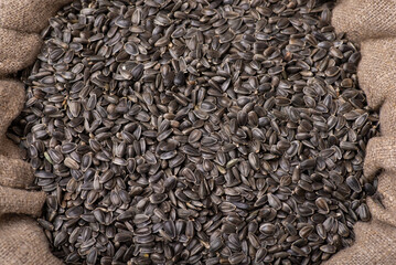 Background on sunflower grain in linen bag. Harvest of sunflowers concept