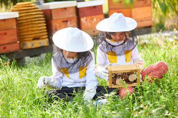 Girls sitting with wooden insect hotel