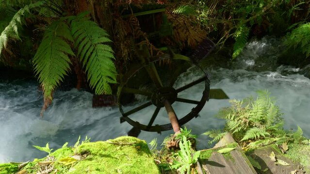 Old Mill turning in water in Blue Springs Putaruru, New Zealand.