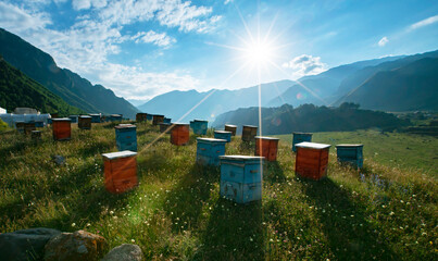 Wooden beehives against the backdrop of a mountain landscape.