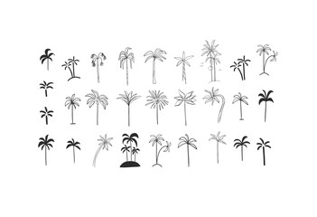 Fototapeta premium Hand drawn vector abstract minimalistic line art graphic drawing tropical exotic nature palm tree set icon sign collection isolated.Summer travel jungle design concept.Summer tropical tree logo set.