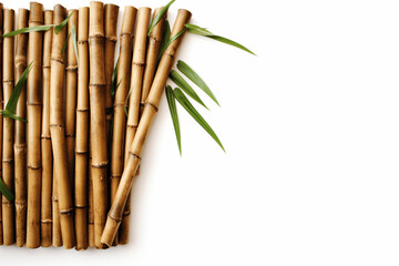 Fototapeta premium Bamboo tree on a white background