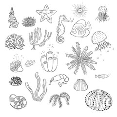 Set of Simple Vector Illustrations Depicting the Underwater World in Doodle Style