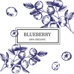 Vector label template with the image of a branch with blueberries in engraving style. Hand drawn blueberries